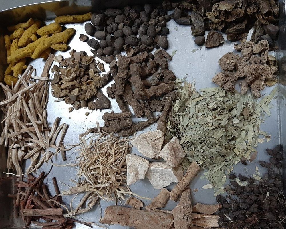 Where Nature Meets Innovation — Mind Booti