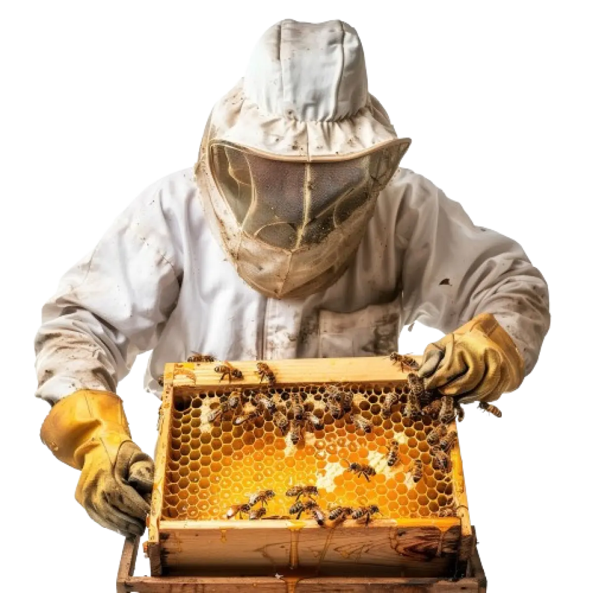 Beekeepers
