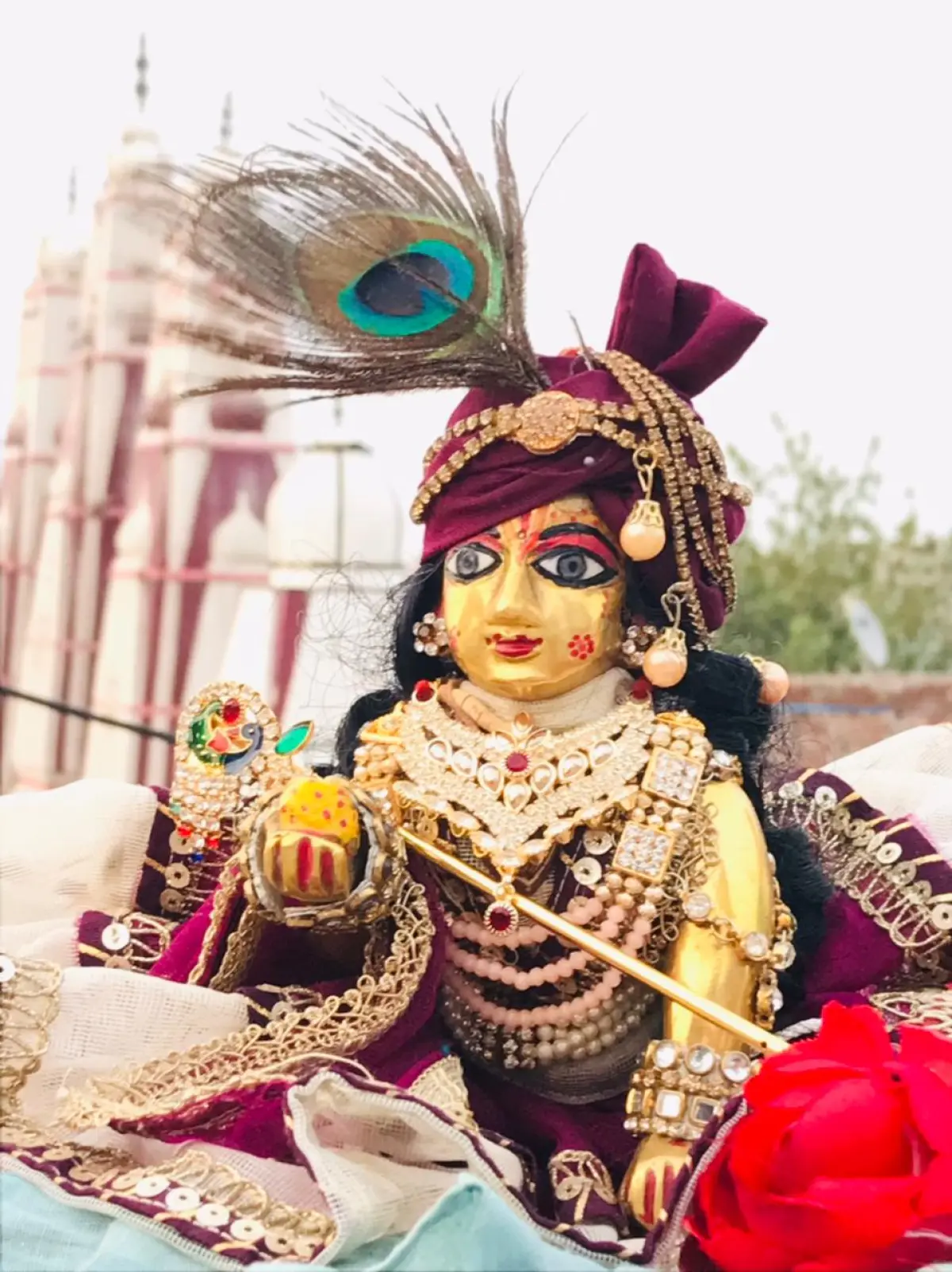 “Grace That Suits Thakur Ji”